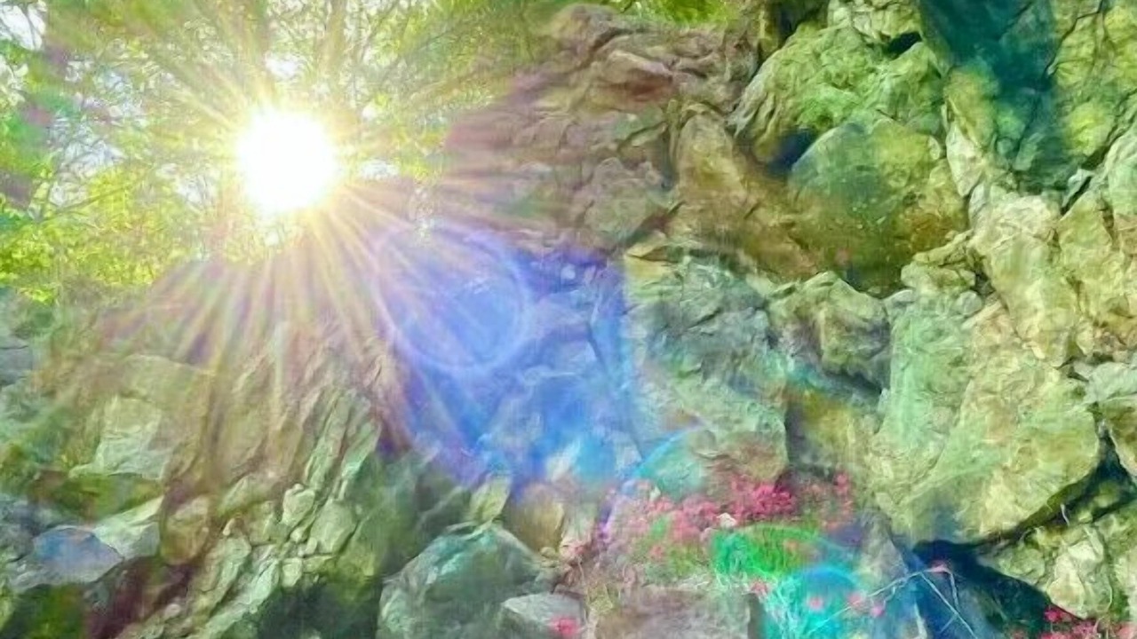 Photo of Others in Green Mountain