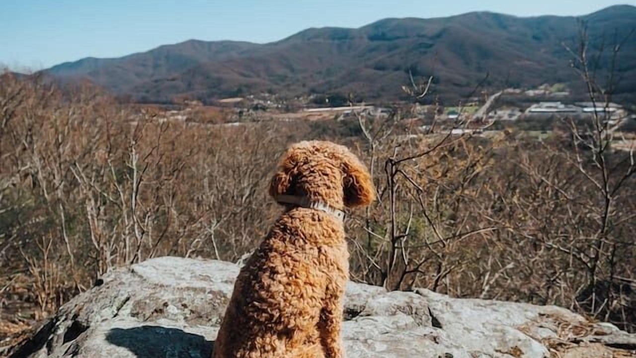 Photo of Others in Swannanoa