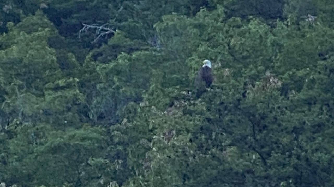 Photo of Outdoor in Great Cacapon
