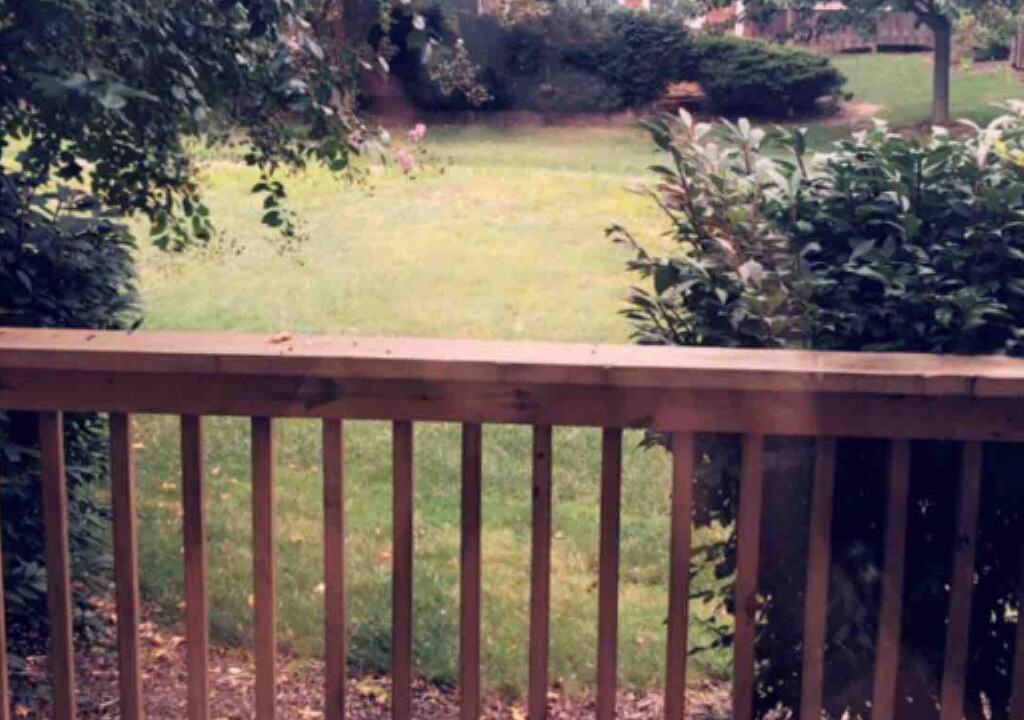 Photo of Outdoor in Charleston