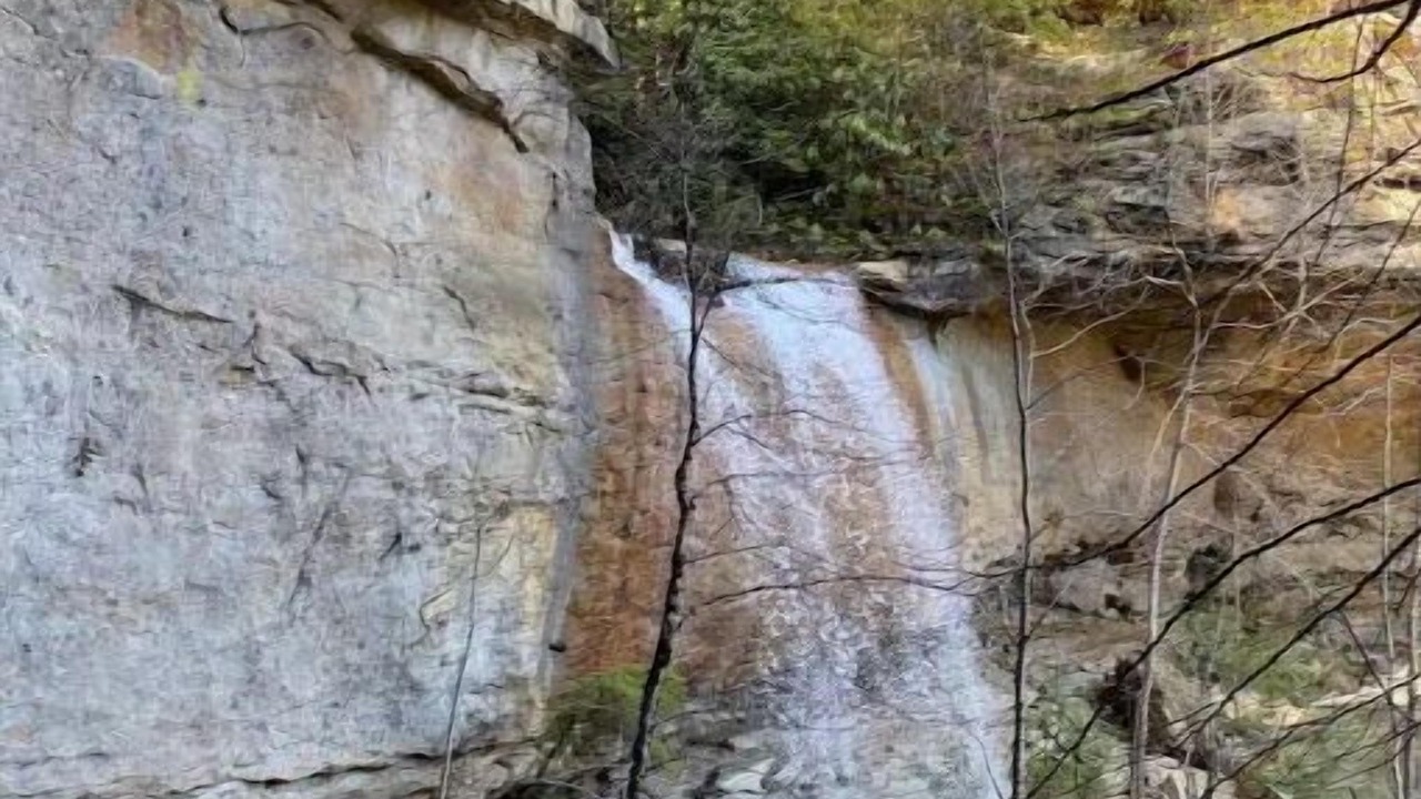 Photo of Outdoor in Jodie