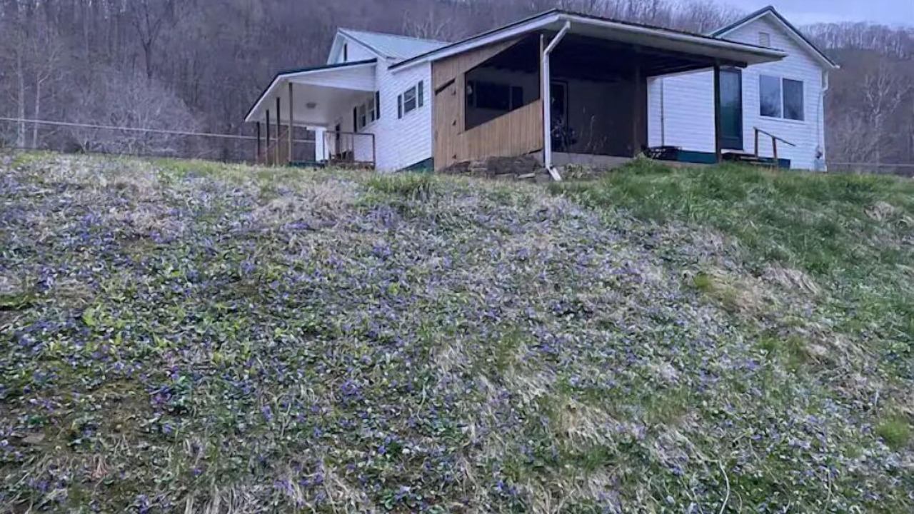 Photo of Outdoor in Jodie