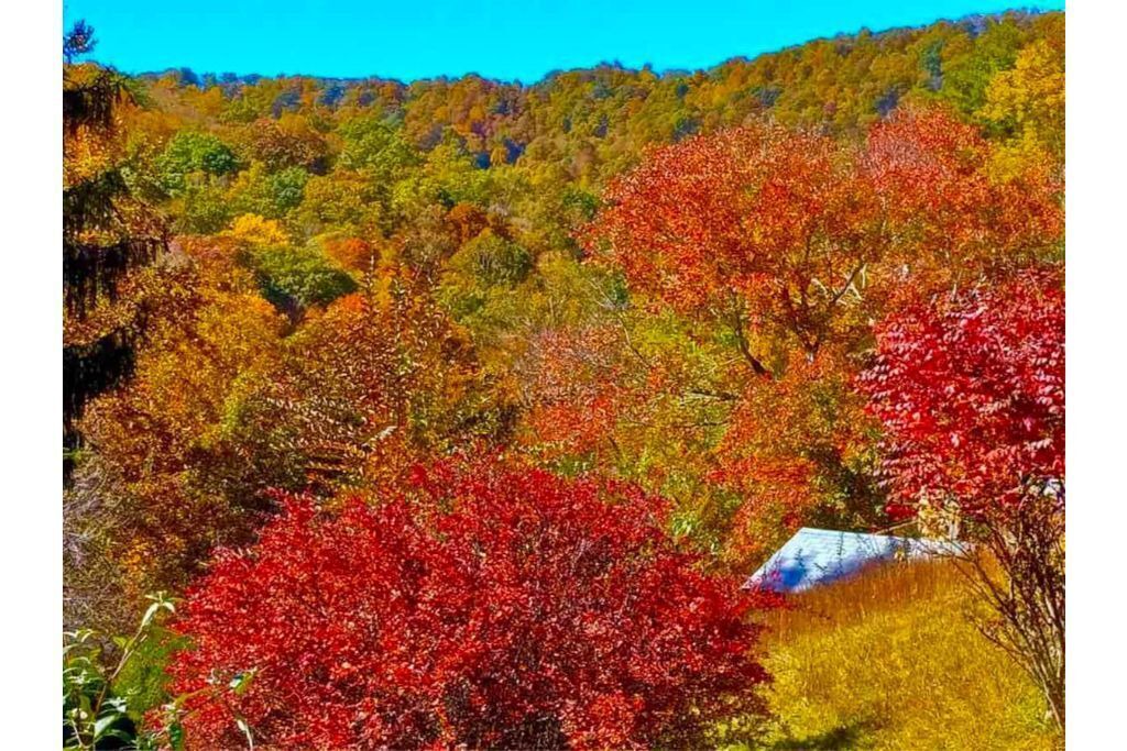 Photo of Others in Green Mountain