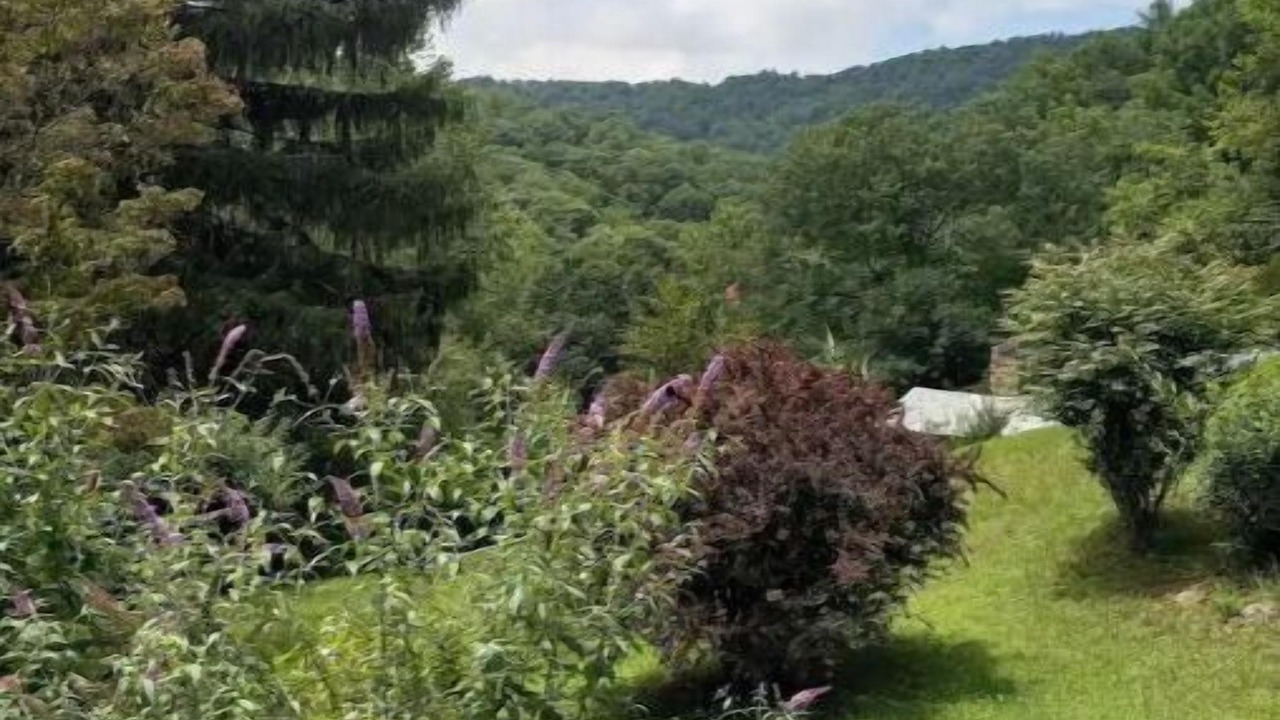 Photo of Outdoor in Green Mountain