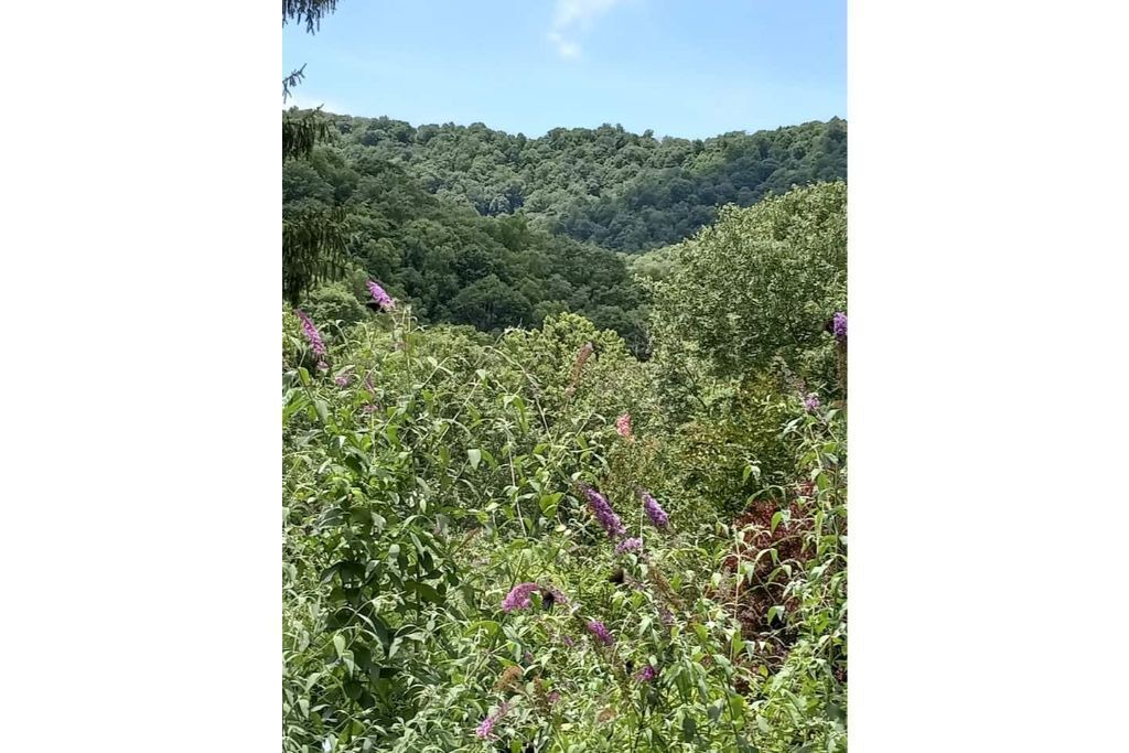 Photo of Outdoor in Green Mountain