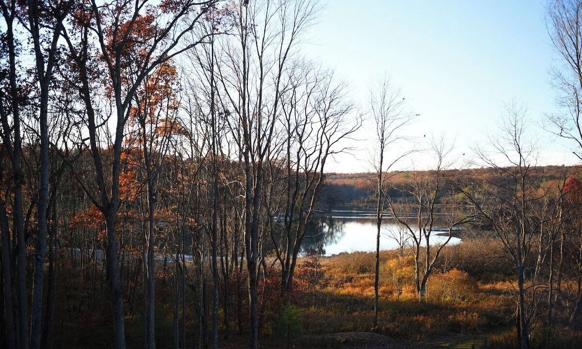 Photo of Others in Swanton