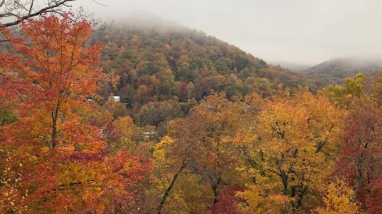 Photo of Others in Black Mountain