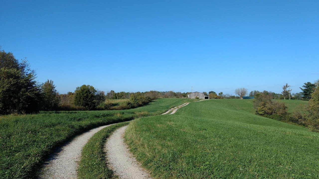 Photo of Outdoor in Williamstown