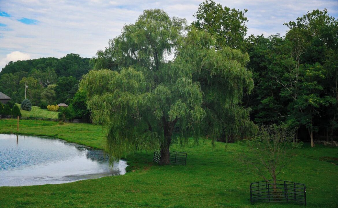 Photo of Outdoor in Round Hill