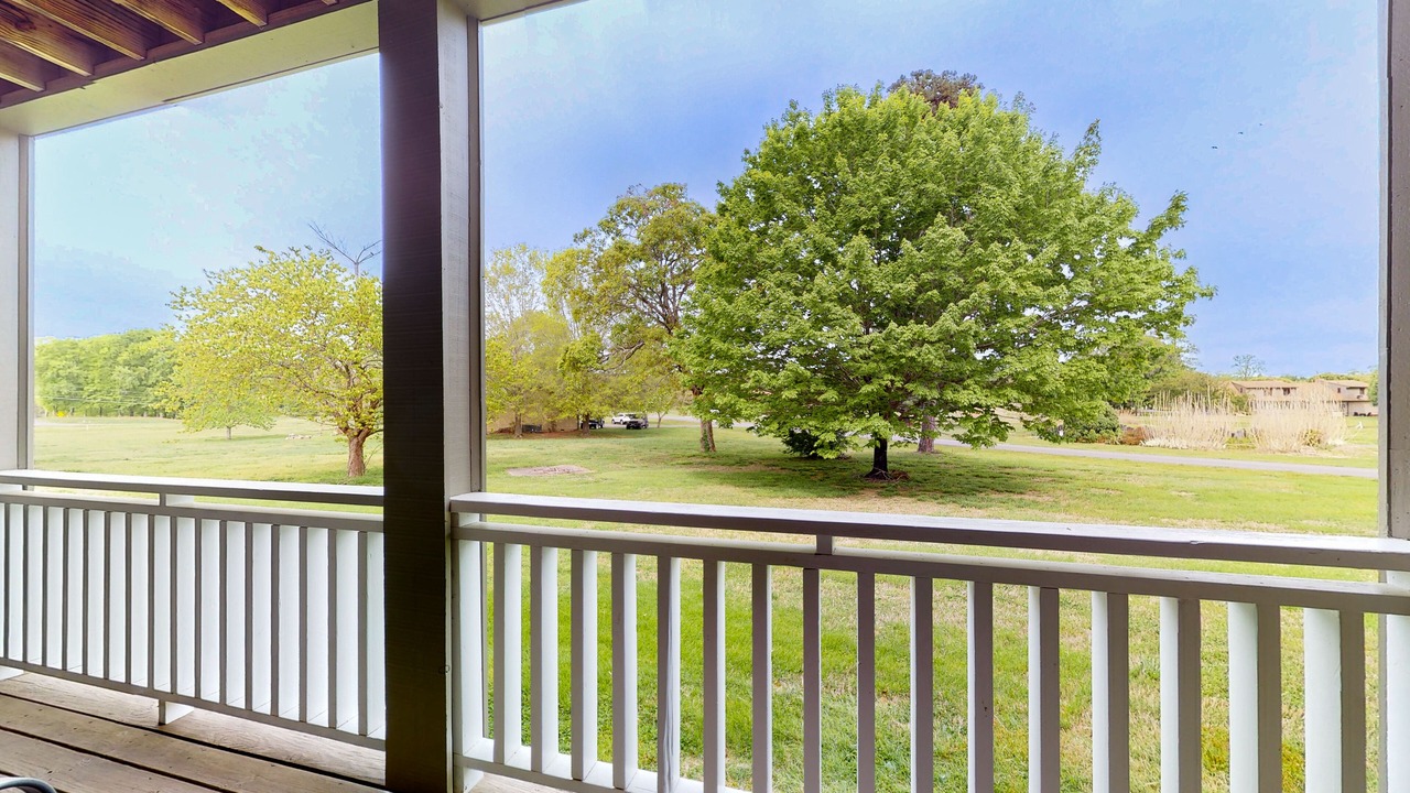 Photo of Outdoor in Baneberry