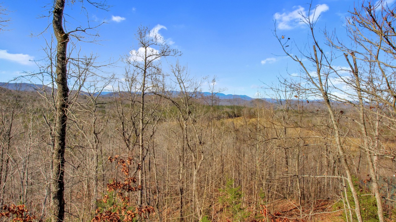 Photo of Outdoor in Vein Mountain