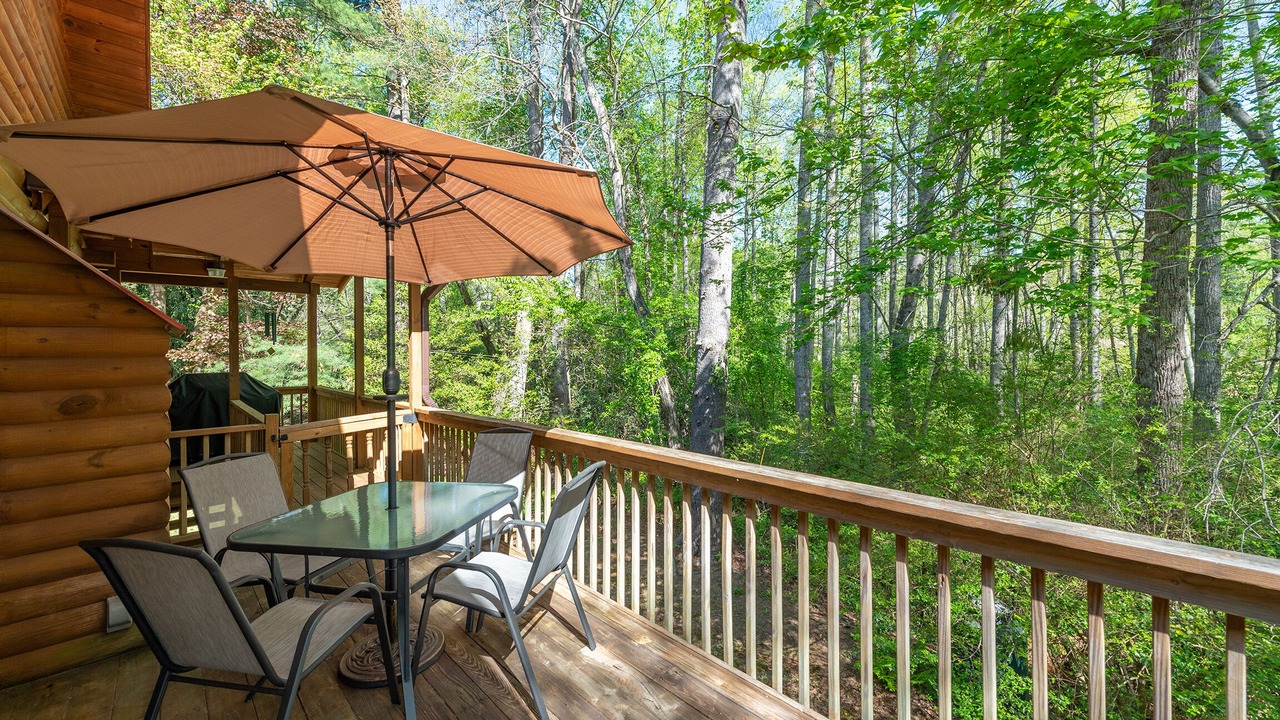 Photo of Outdoor in Black Mountain