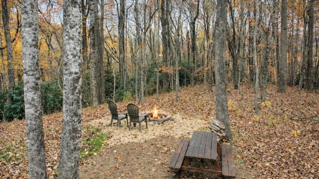 Photo of Others in Skyland