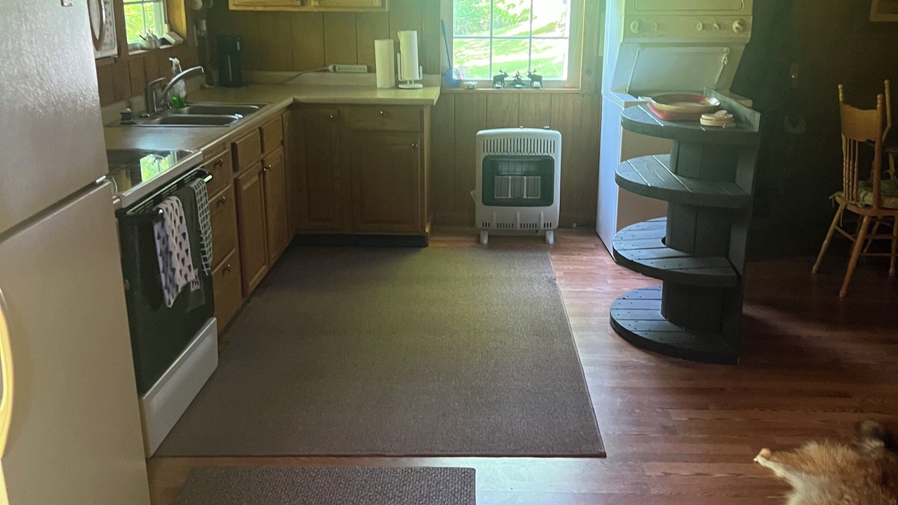 Photo of Kitchen in Horner