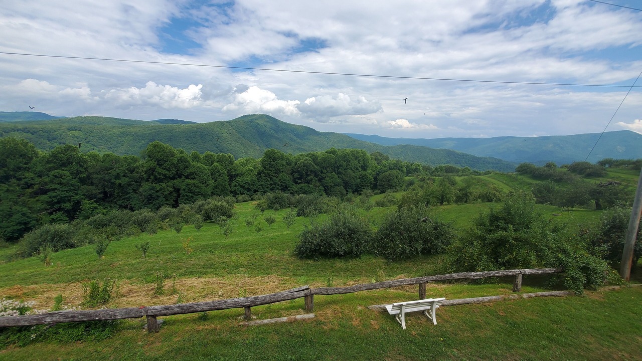 Photo of Others in Spruce Pine
