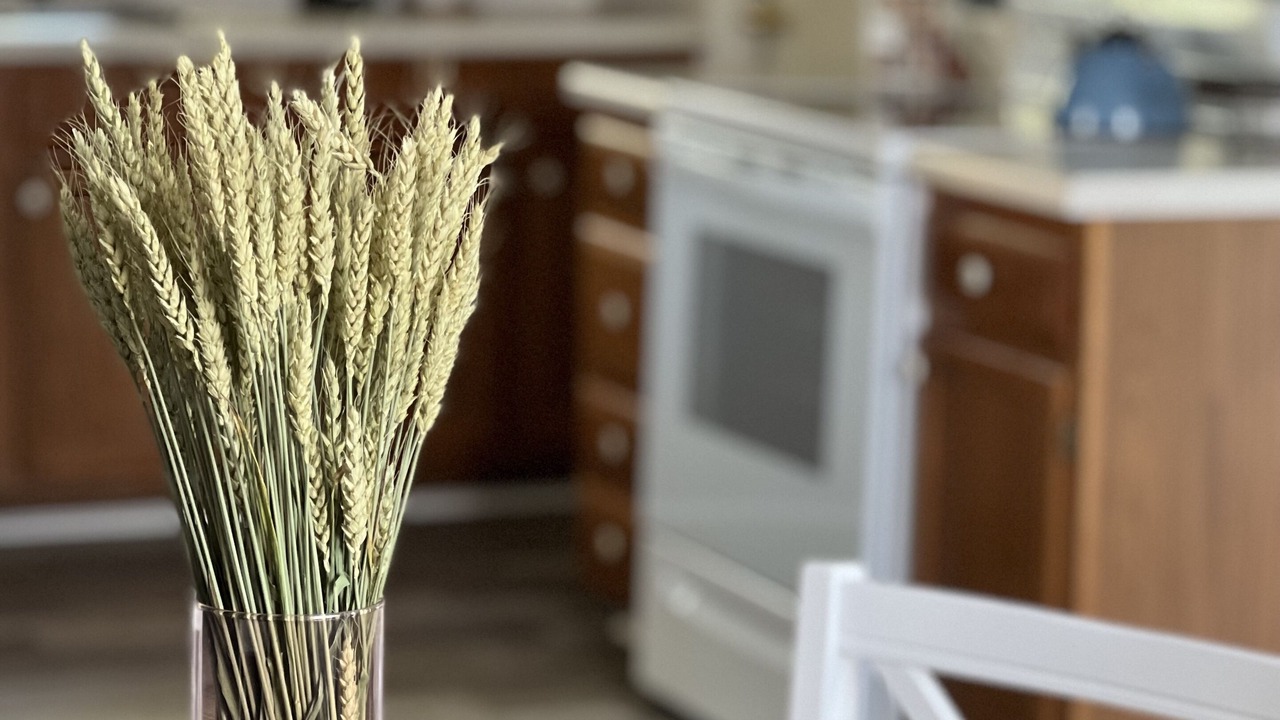 Photo of Kitchen in Sevierville