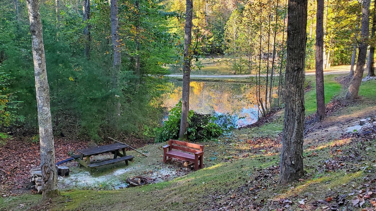 Photo of Outdoor in Rogers