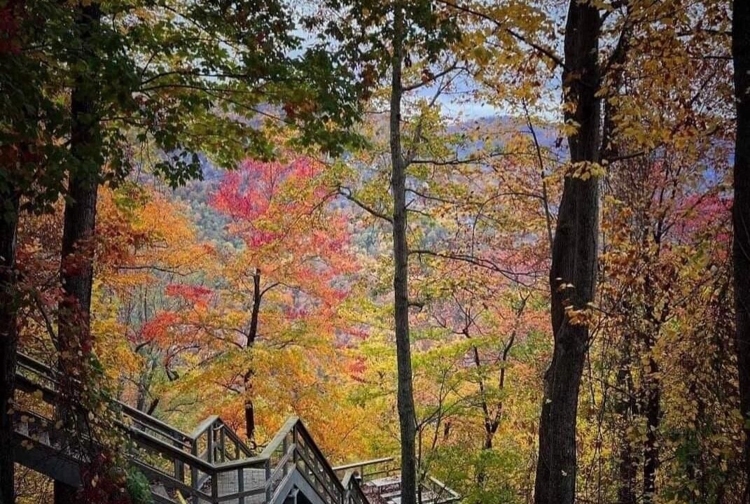 Photo of Others in Pisgah Forest
