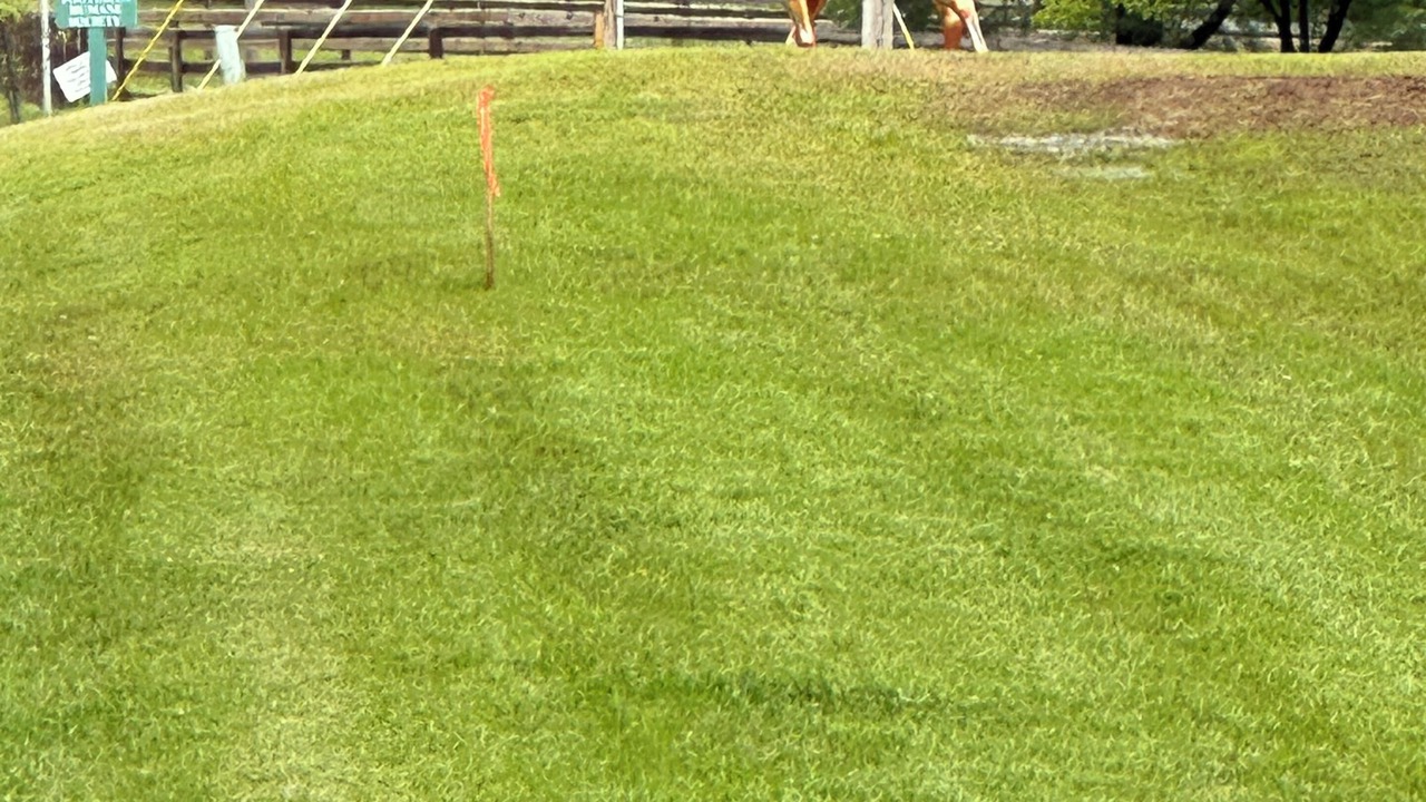 Photo of Outdoor in Tryon
