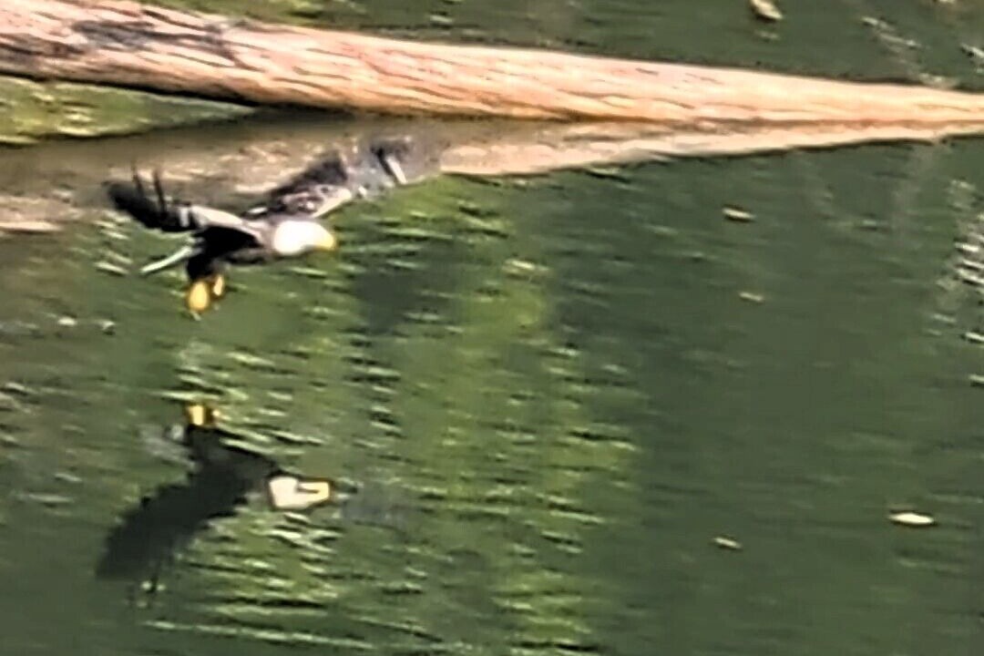 Photo of Others in Mill Spring