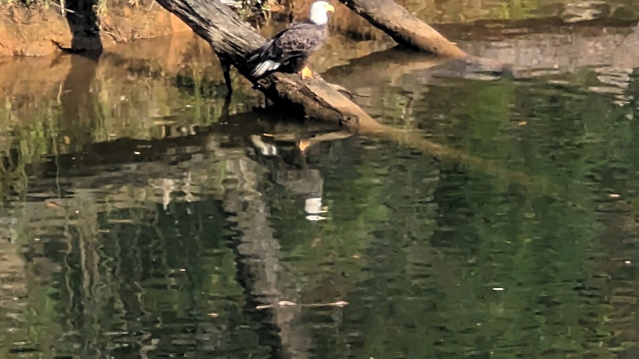 Photo of Others in Mill Spring