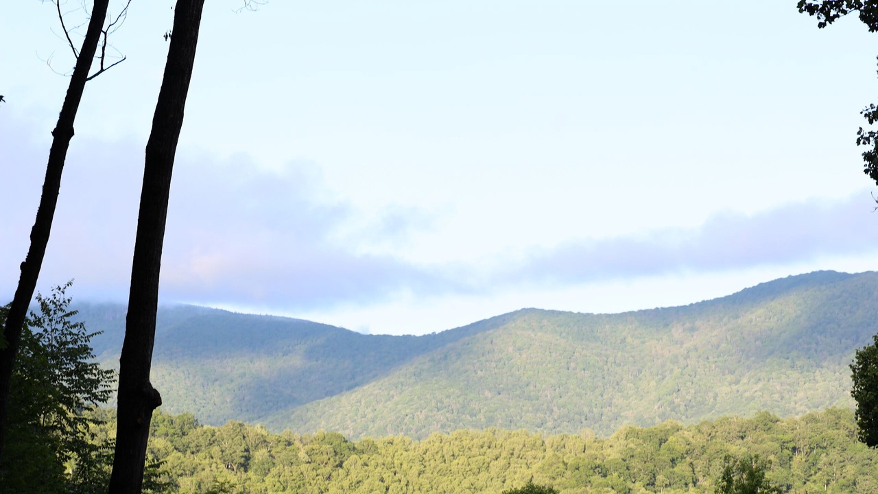 Photo of Others in Bakersville