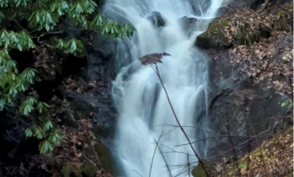 Photo of Others in Bakersville