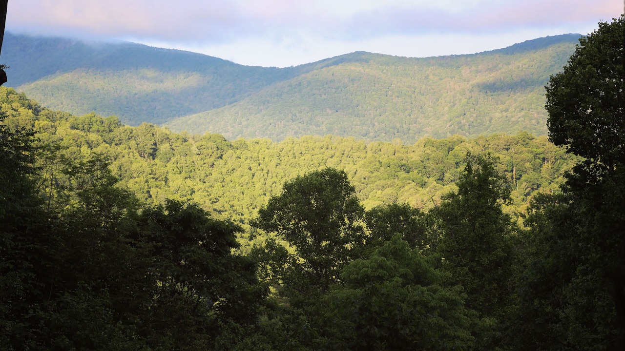 Photo of Others in Bakersville