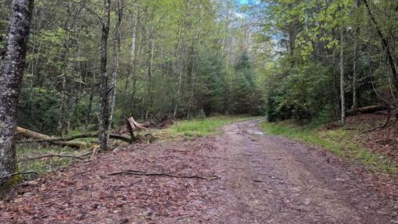 Photo of Outdoor in Mountain City