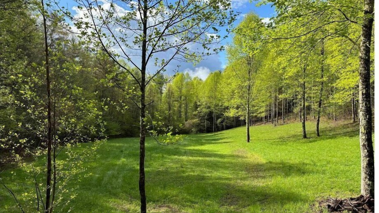 Photo of Outdoor in Mountain City