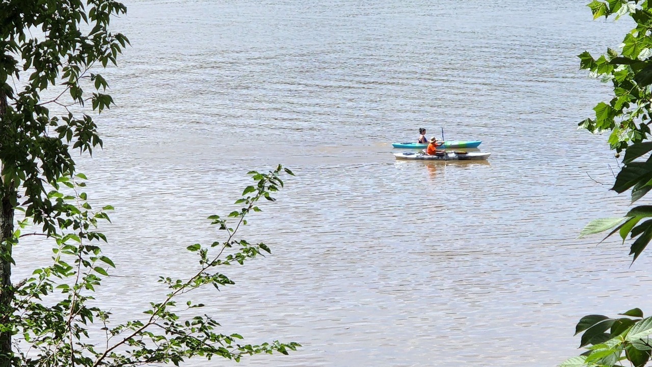 Photo of Others in Bentonville