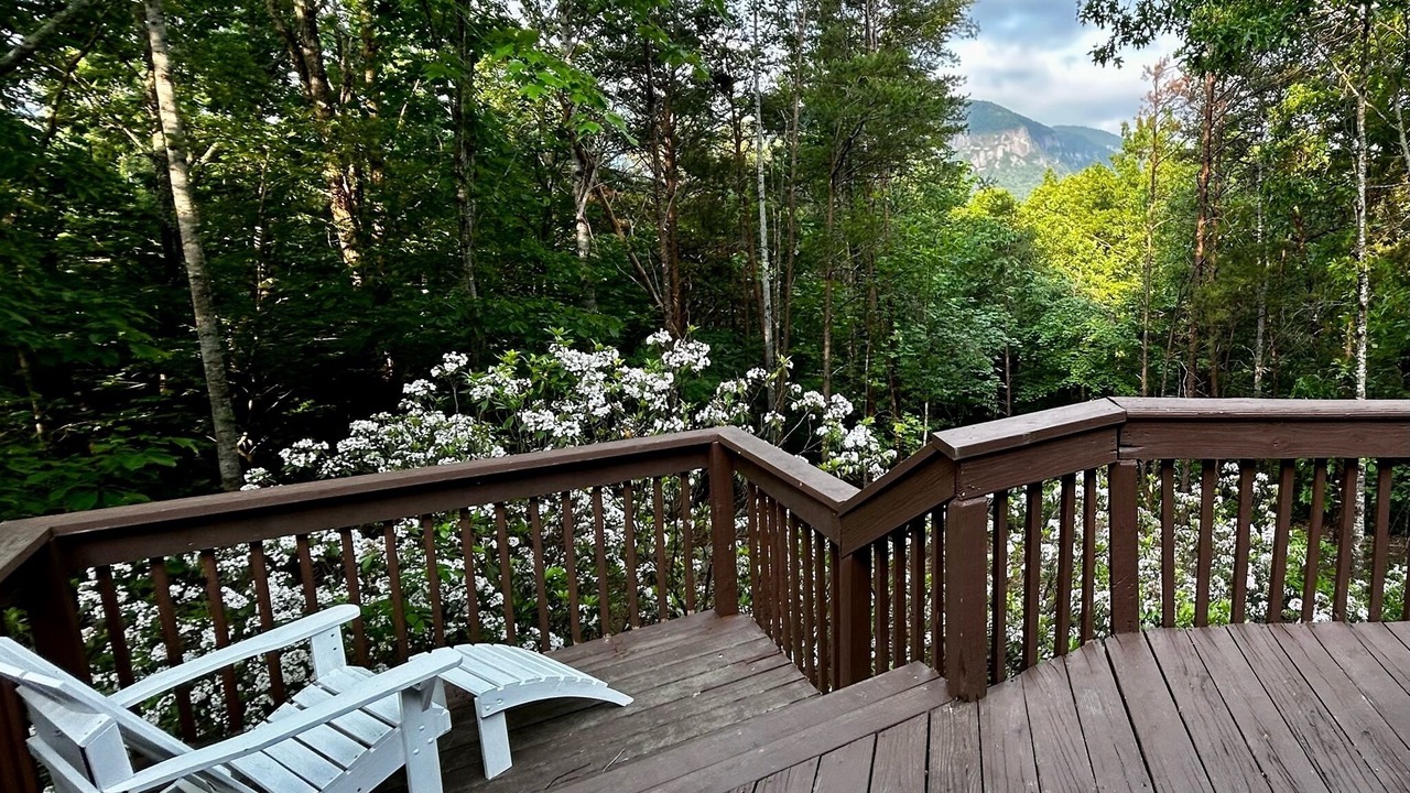 Photo of Outdoor in Lake Lure
