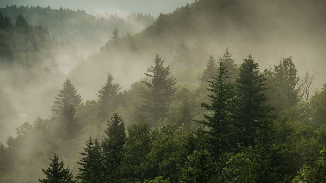 Photo of Outdoor in Dandridge