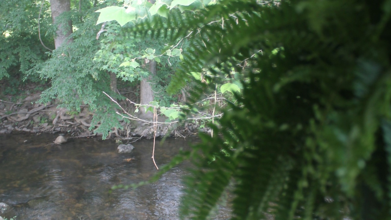 Photo of Outdoor in Hampton
