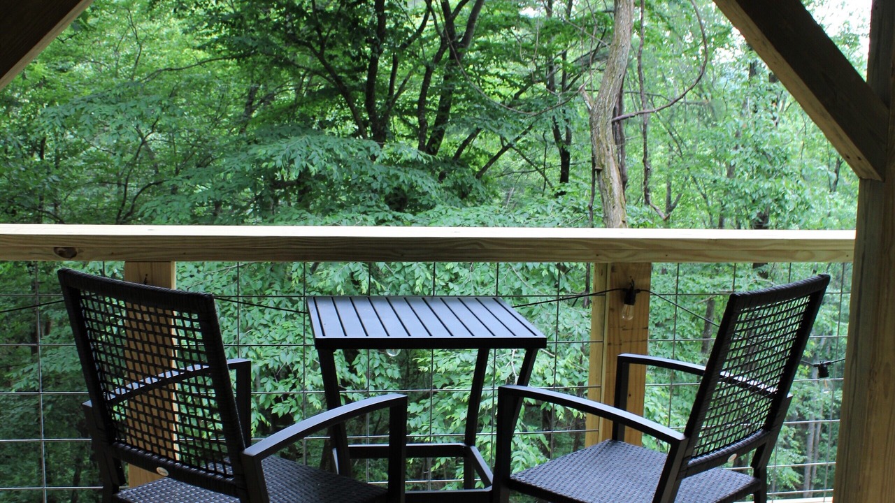 Photo of Outdoor in Wilkes County