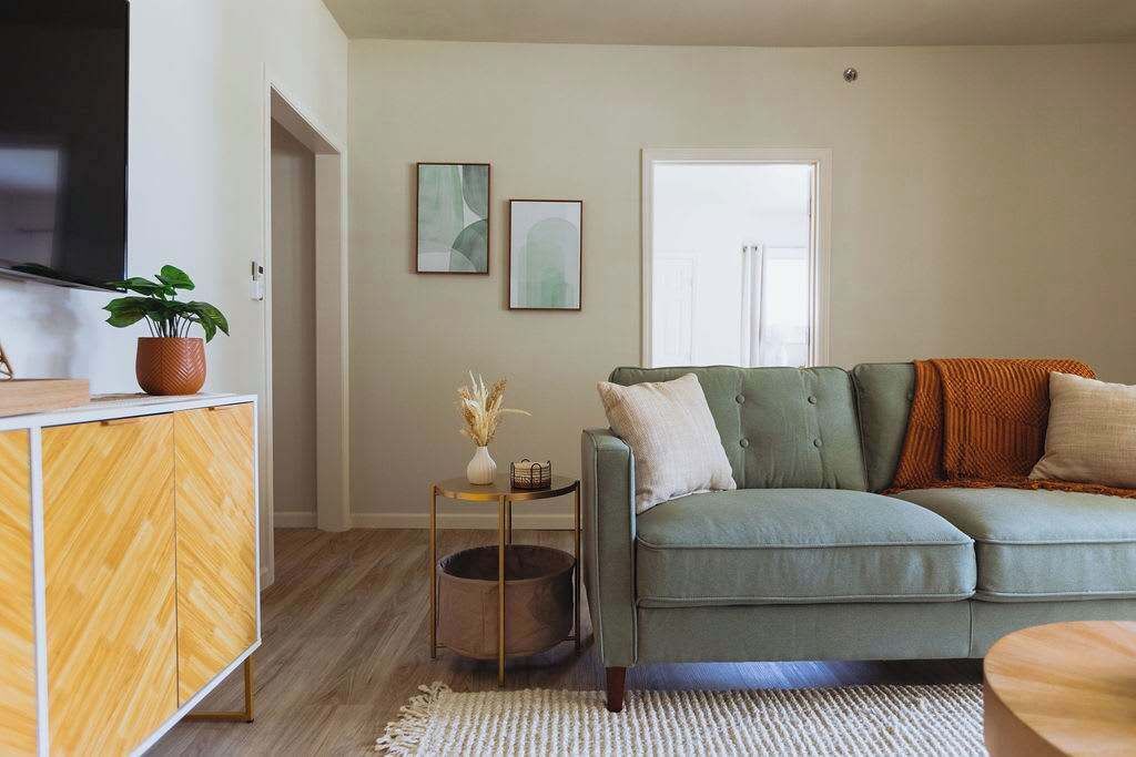 Photo of Livingroom in Johnson City