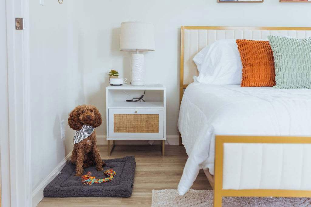 Photo of Bedroom in Johnson City