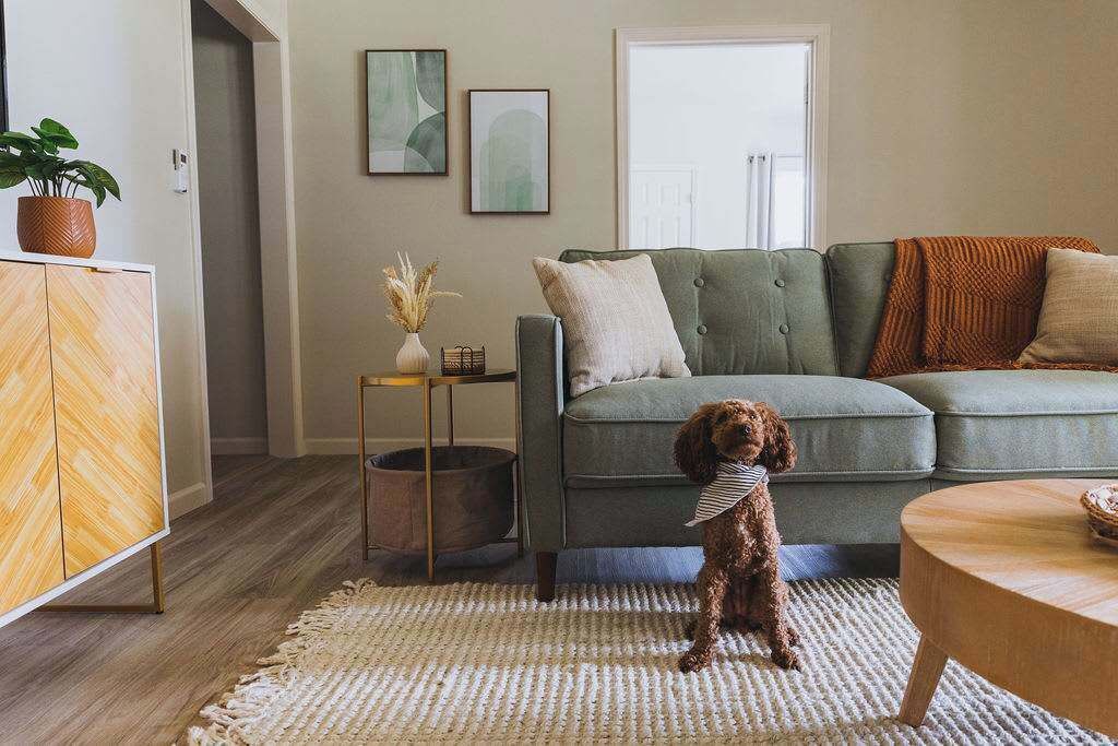 Photo of Livingroom in Johnson City
