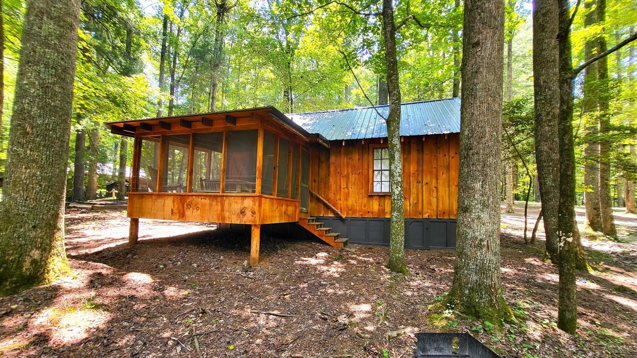 Photo of Outdoor in Saluda