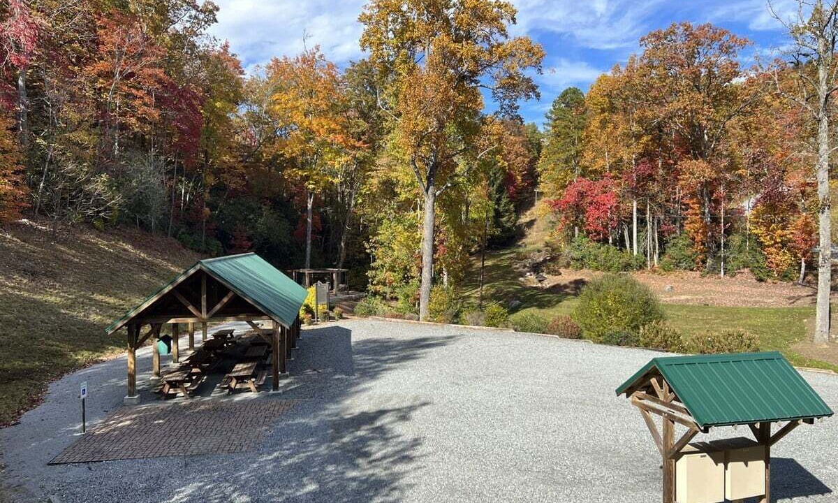 Photo of Others in Pisgah Forest