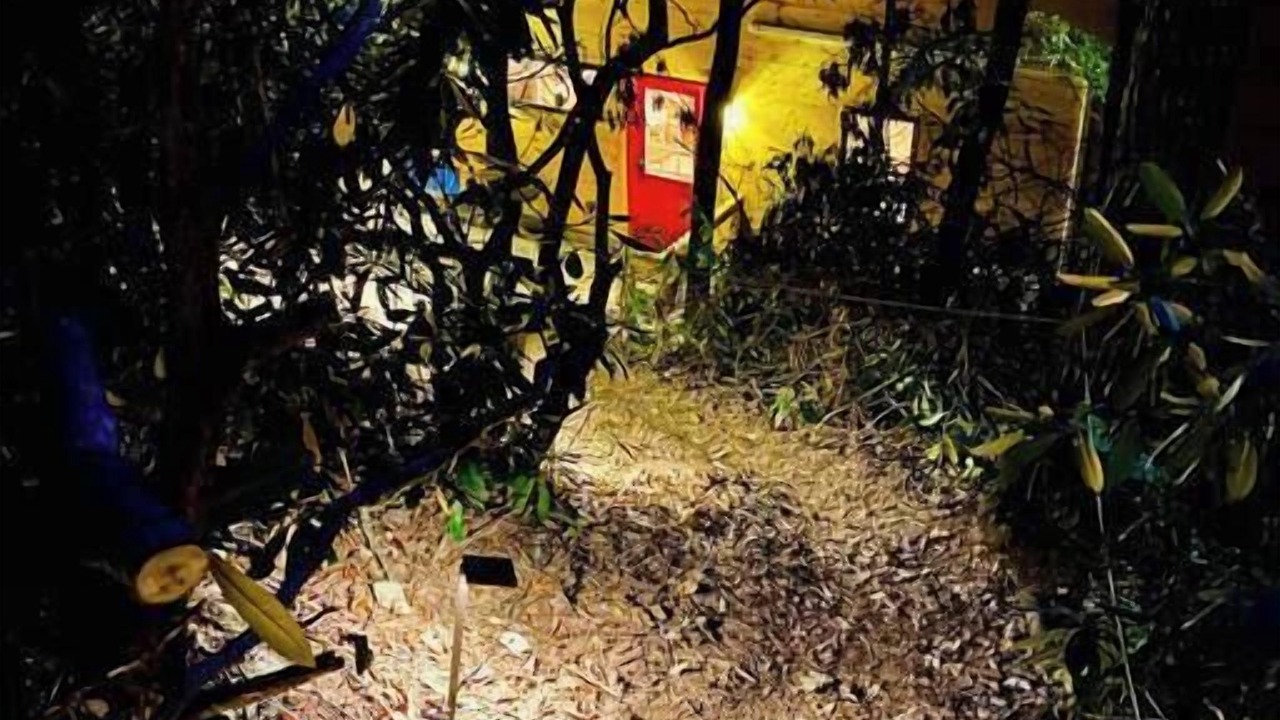 Photo of Outdoor in Stanton