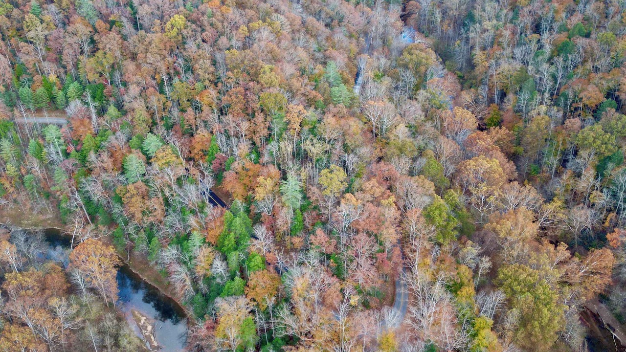 Photo of Outdoor in Denniston
