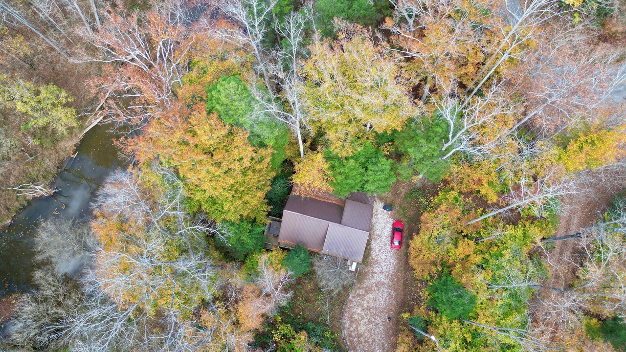 Photo of Outdoor in Denniston