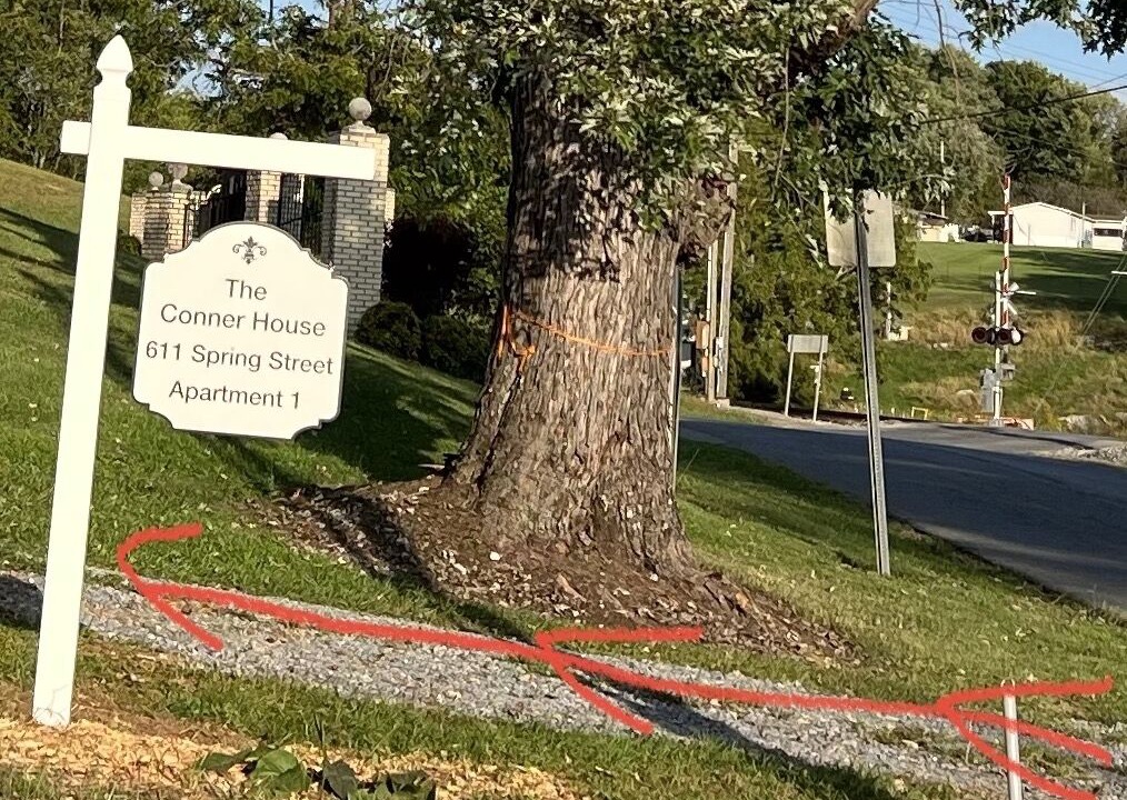 Photo of Outdoor in Jonesborough