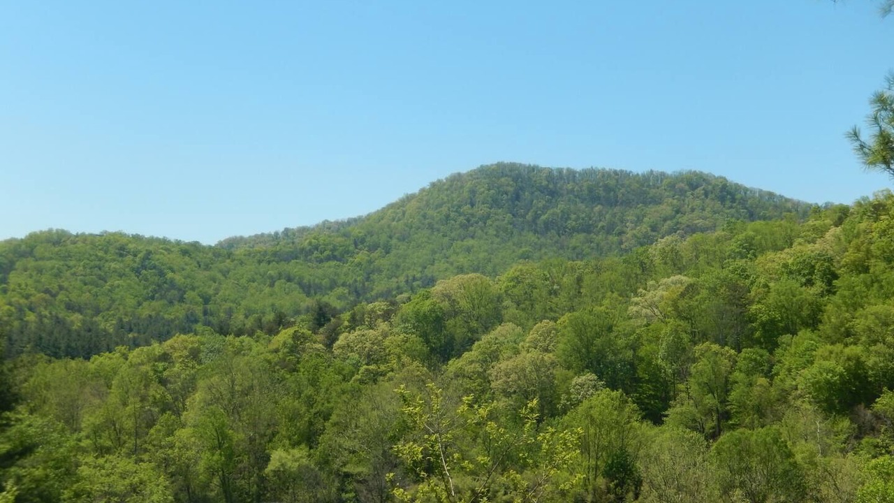 Photo of Others in Swannanoa