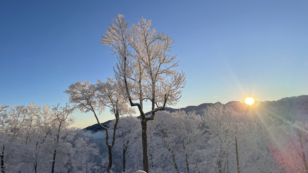 Photo of Others in Sugar Mountain