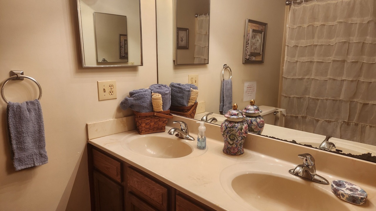 Photo of Bathroom in Roan Mountain