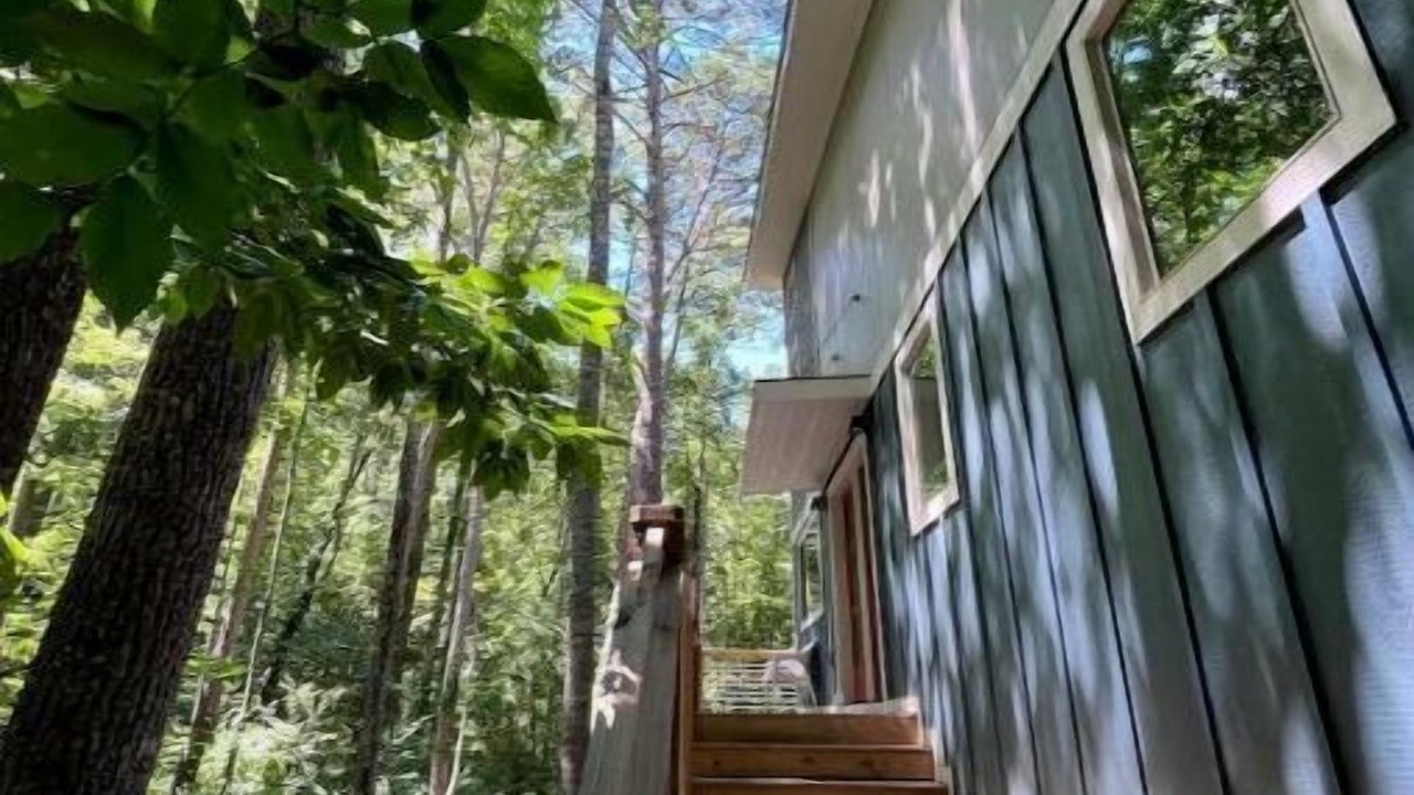 Photo of Others in Swannanoa