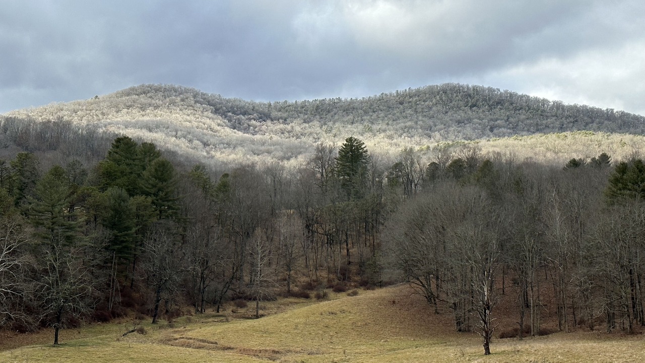 Photo of Others in McDowell
