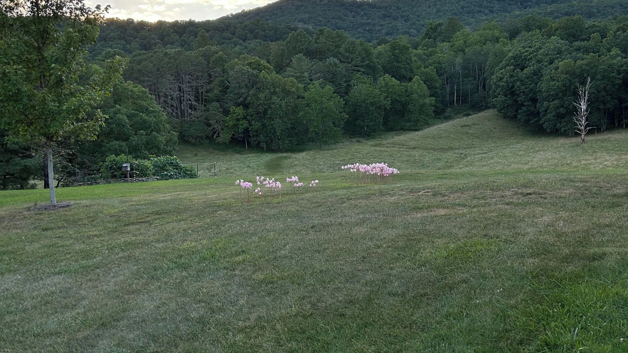 Photo of Others in McDowell